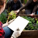 Optimización en la Gestión de Proyectos Agrícolas Estrategias para el Éxito