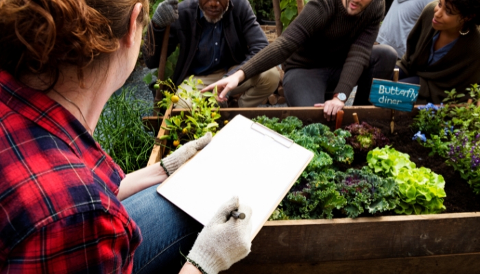 Optimización en la Gestión de Proyectos Agrícolas Estrategias para el Éxito