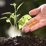 Planes de Fertilización