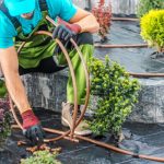 Proyectos Agrícolas Rentables en Perú El Valor de la Asistencia Agronómica Personalizada